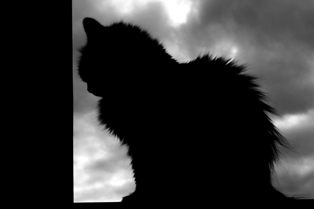 Photograph by Олеся Кузнецова