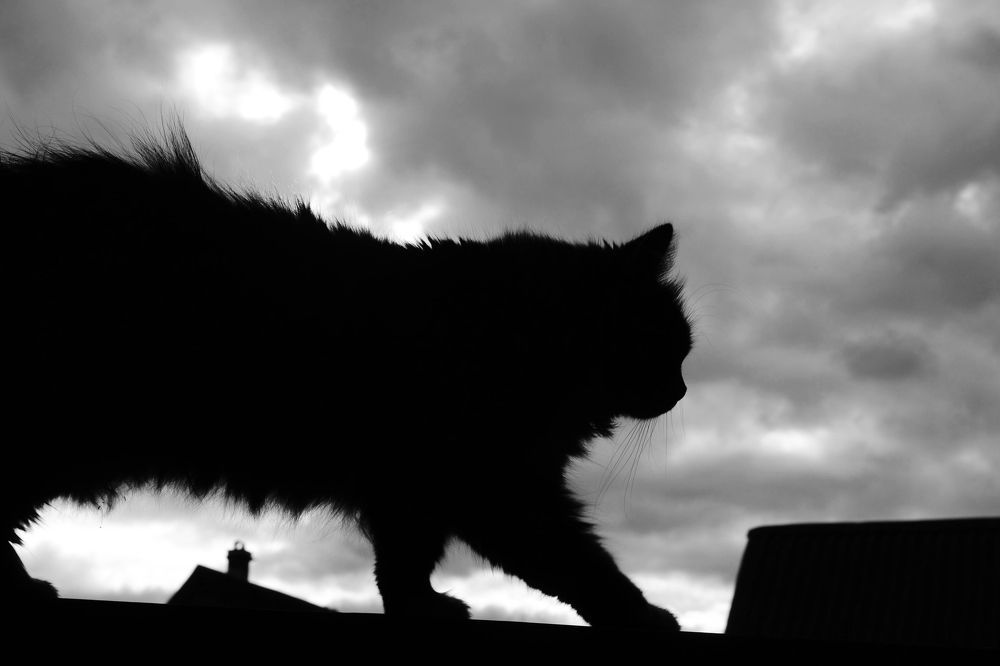 Photograph by Олеся Кузнецова