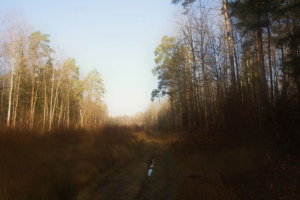 Photograph by Yroslava Veretina