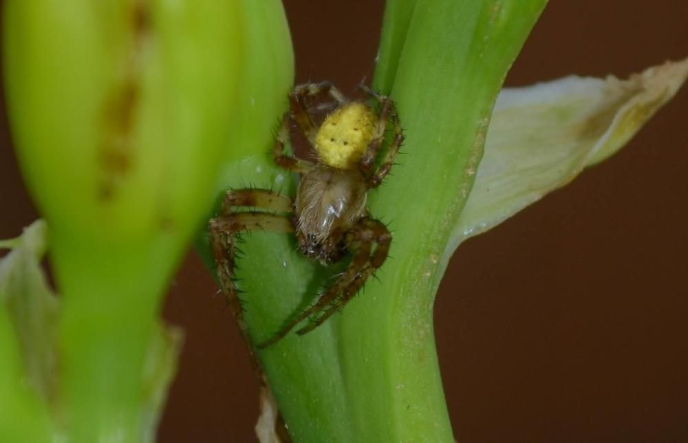 Photograph by Олеся Кузнецова