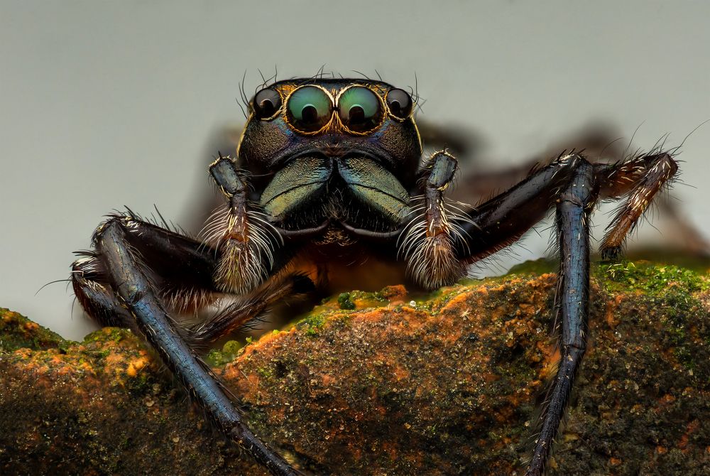 Photograph by Su Vun Lee