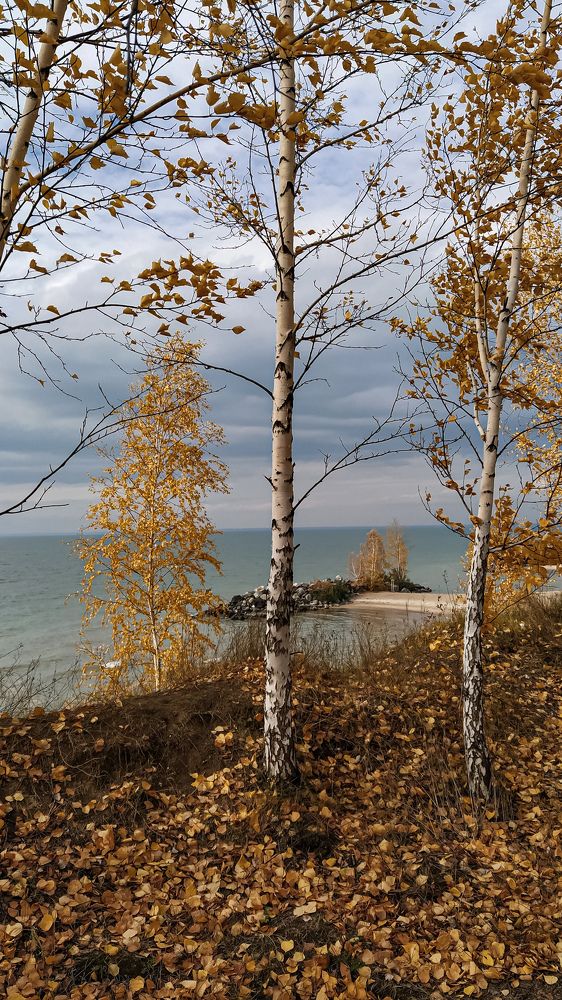 Photograph by Елена Бохолдина