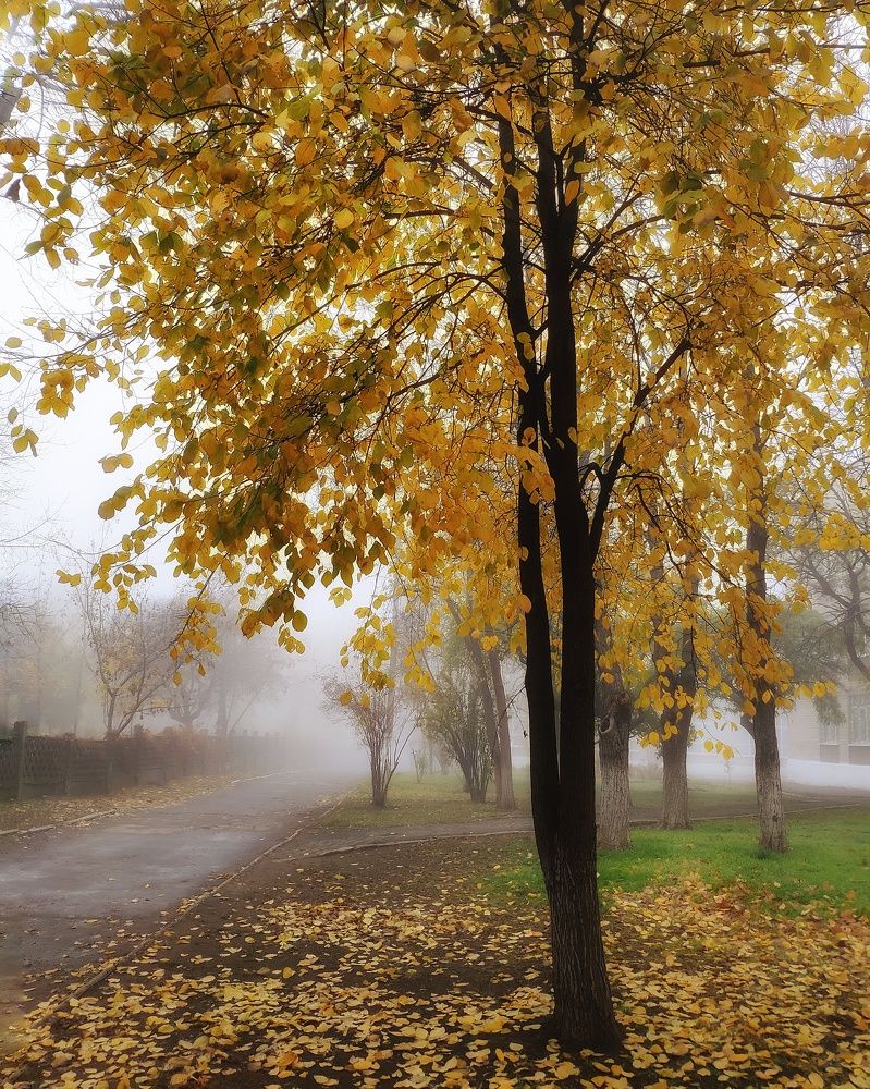 Photograph by Светлана Смирнова