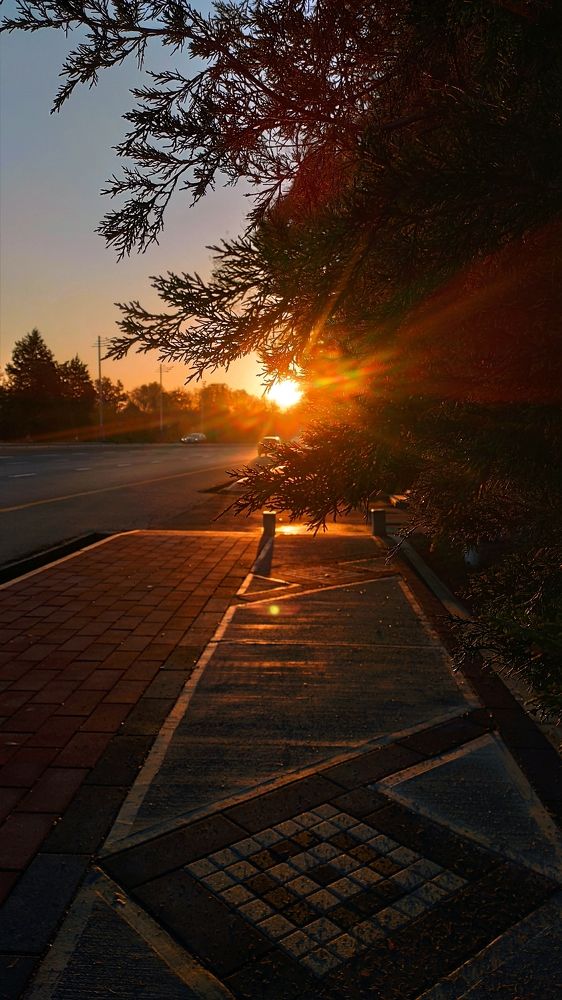 Photograph by Анастасия