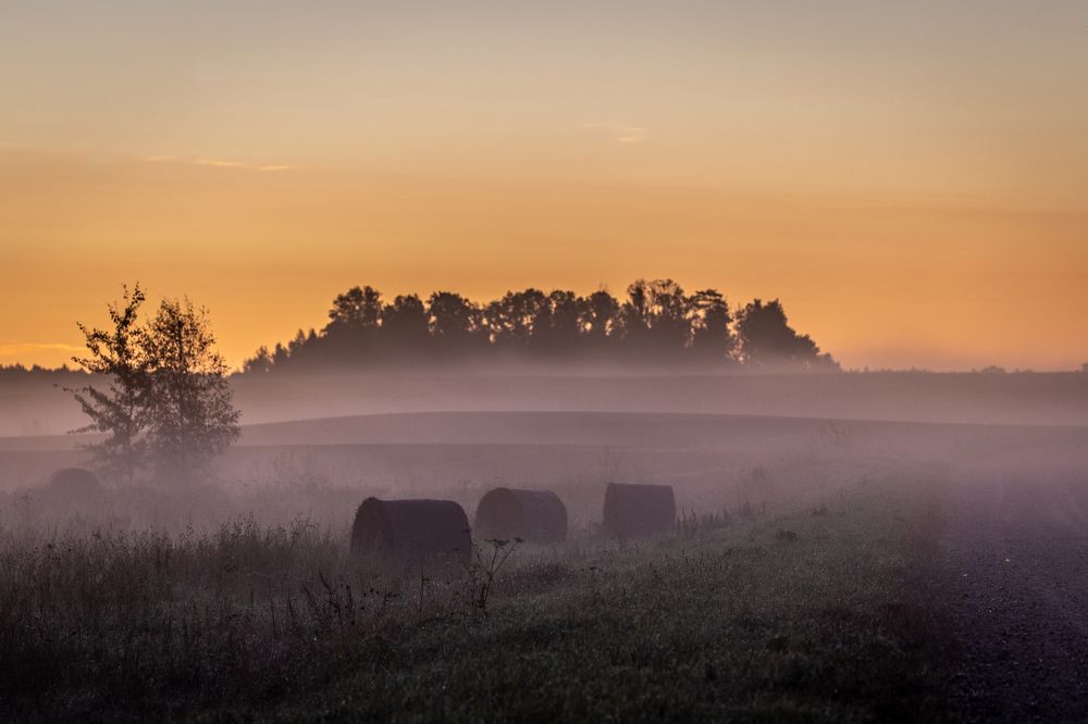 Photograph by Dzintra Zvagina