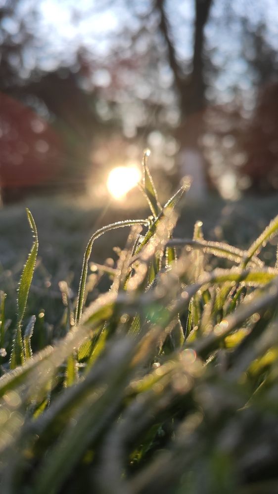 Photograph by Анастасия