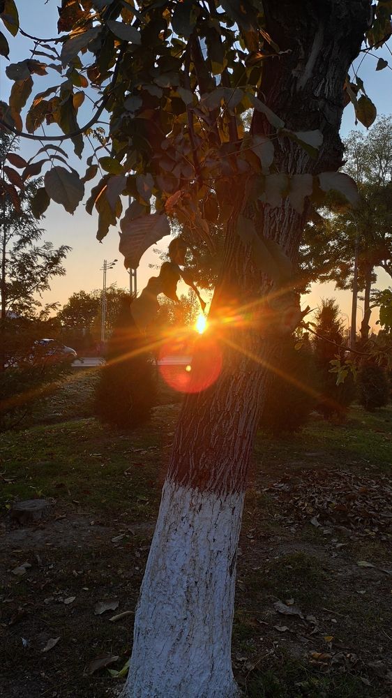 Photograph by Анастасия