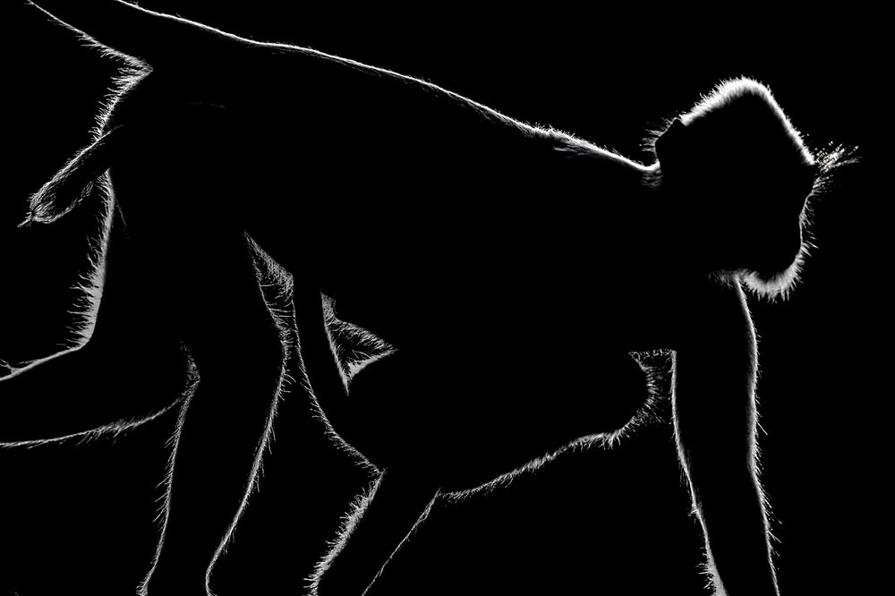 Under the shadow of mother's love