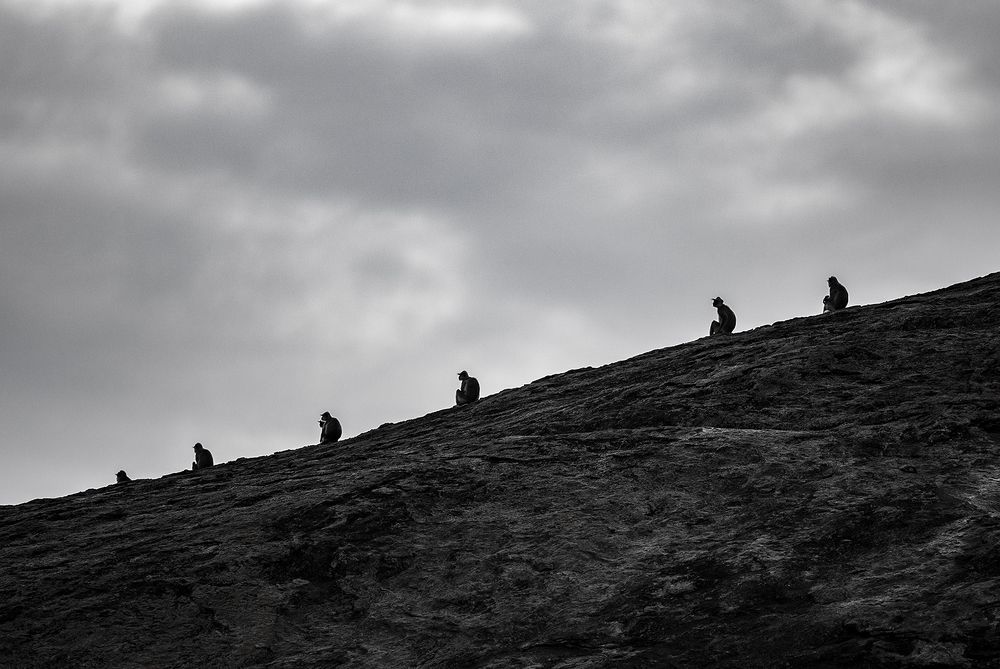 Photograph by Banu Mapalagama