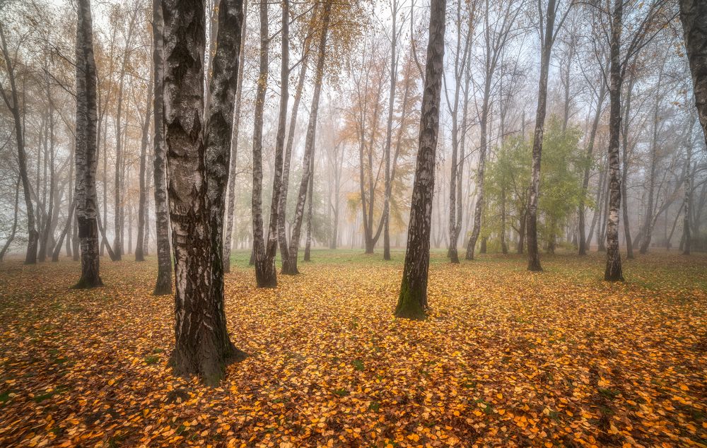 Photograph by Alexander Plekhanov