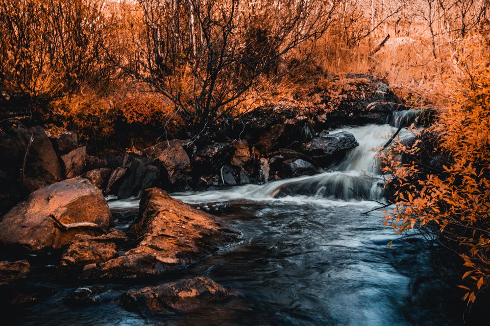 Photograph by Артемий Соловьёв