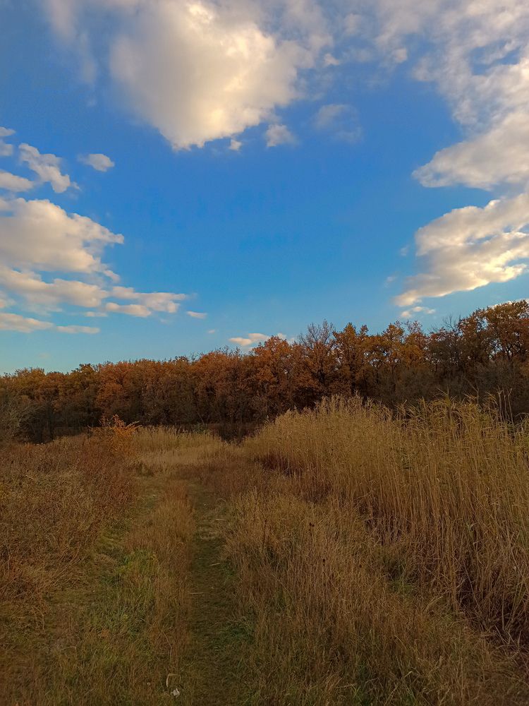 Photograph by Екатерина