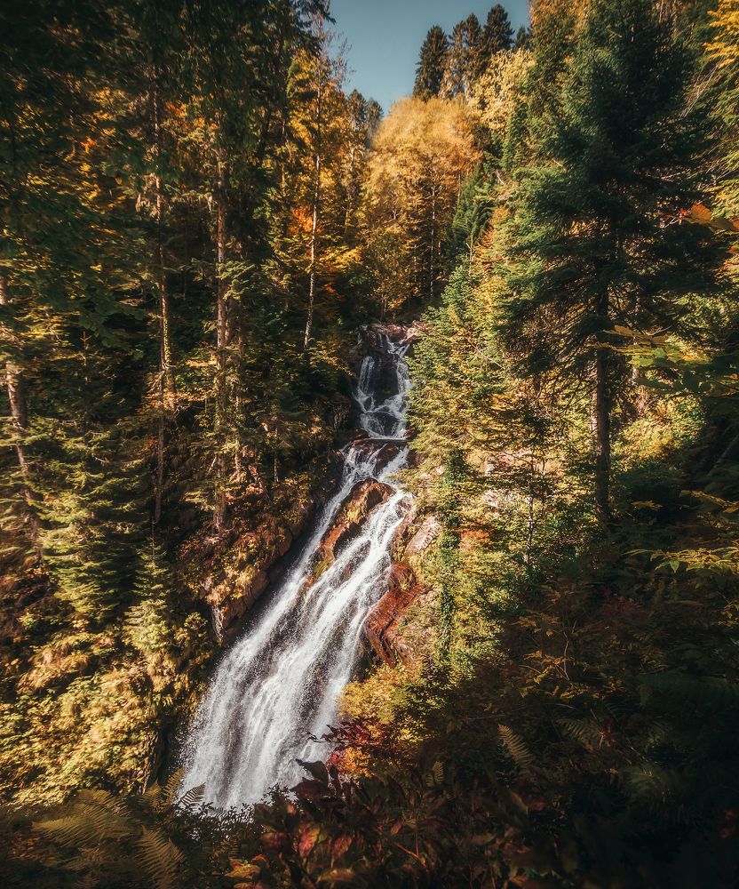 Photograph by Александр Смирнов