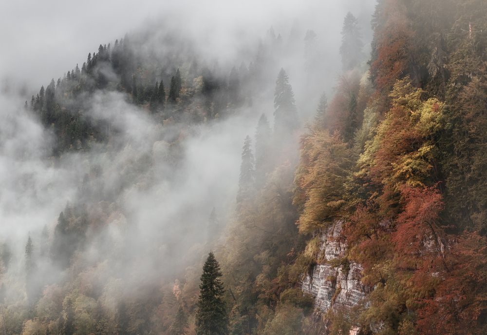 Photograph by Александр Смирнов