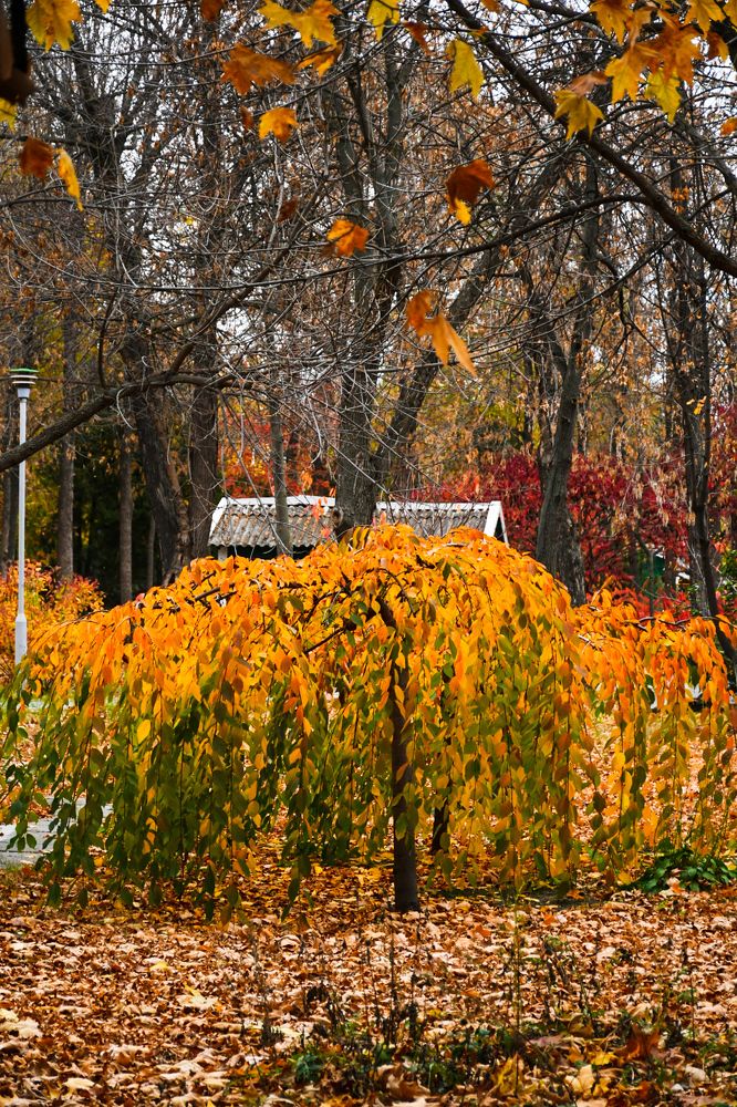 Photograph by Владислав Семенов