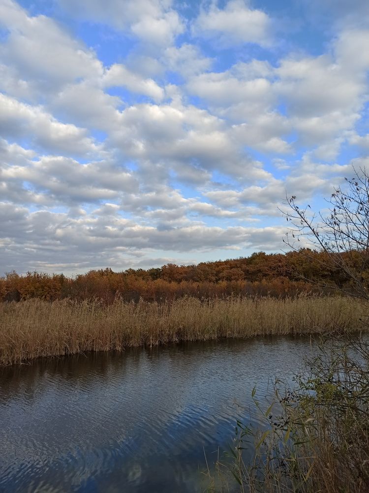 Photograph by Екатерина