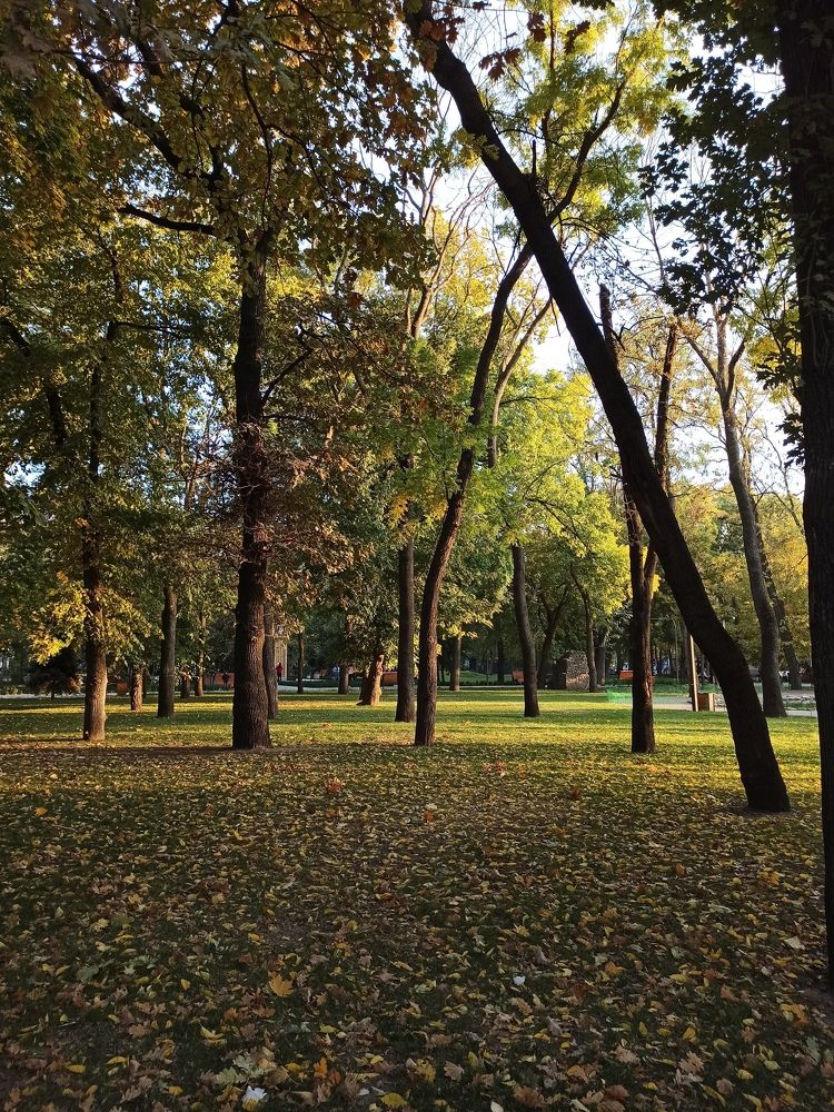 Photograph by Екатерина