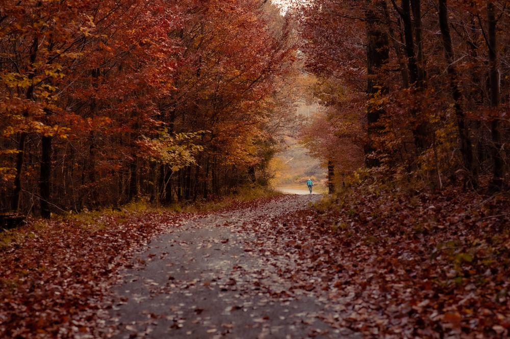 Photograph by Виктория Миллер