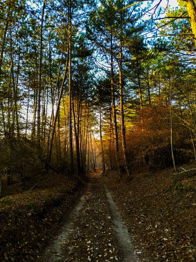 Photograph by Виктория Бобык