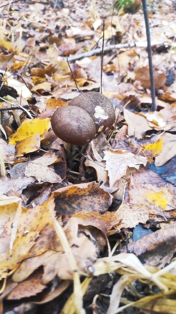 Photograph by Ксения Уварова