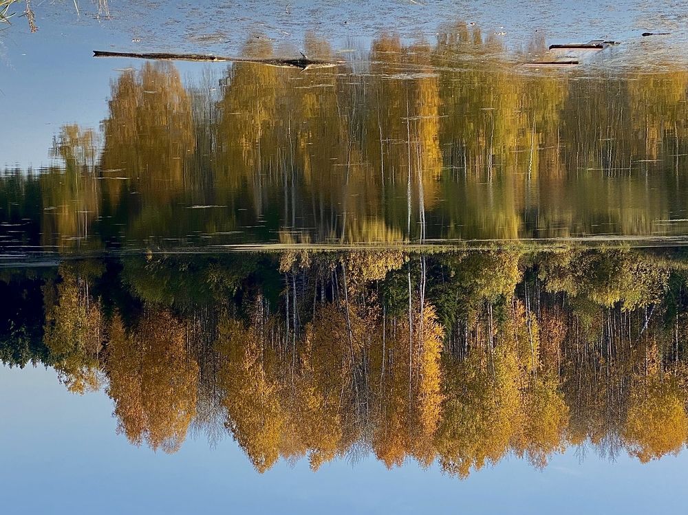 Photograph by Екатерина Мосунова