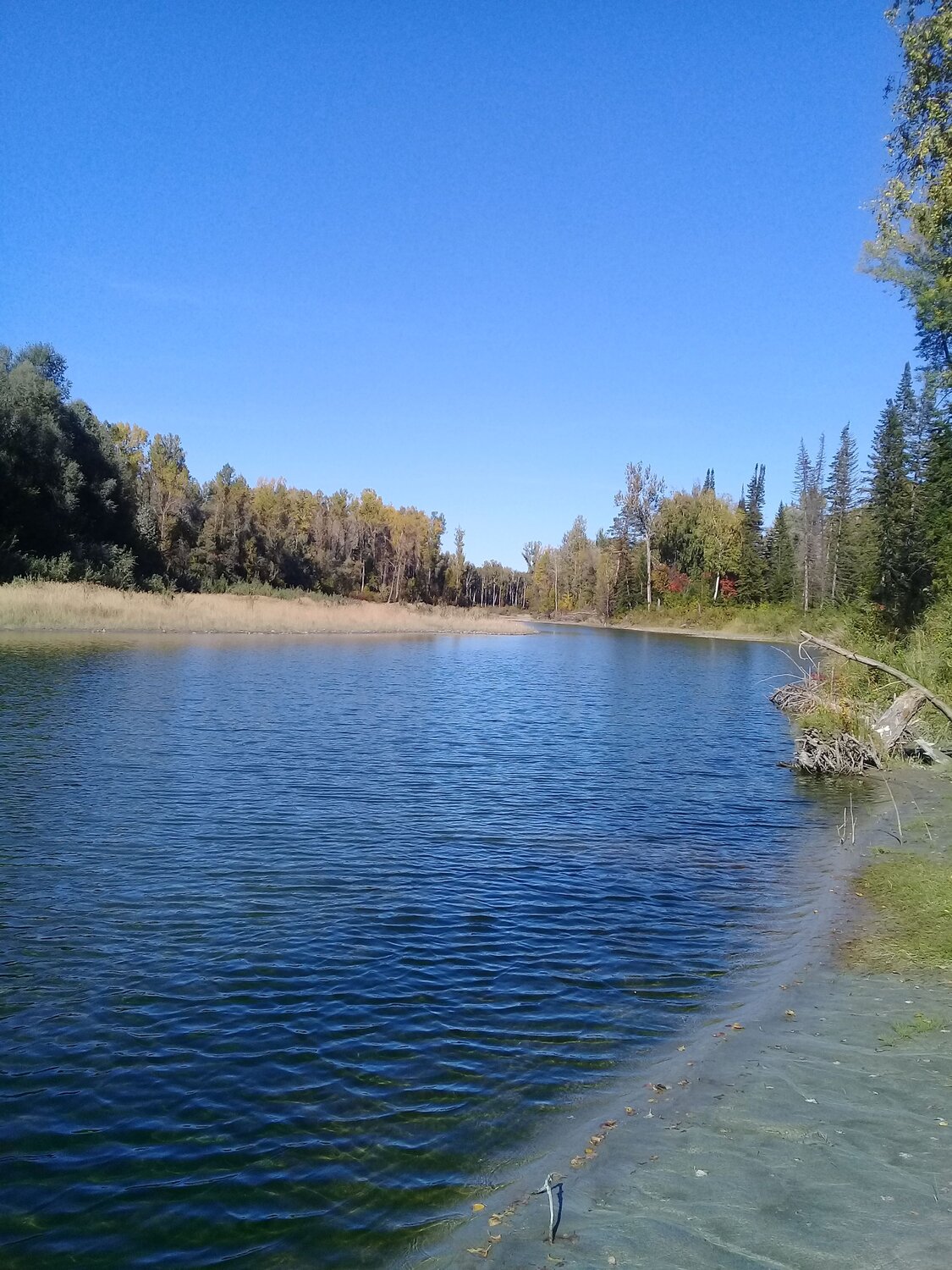Photo #6695900