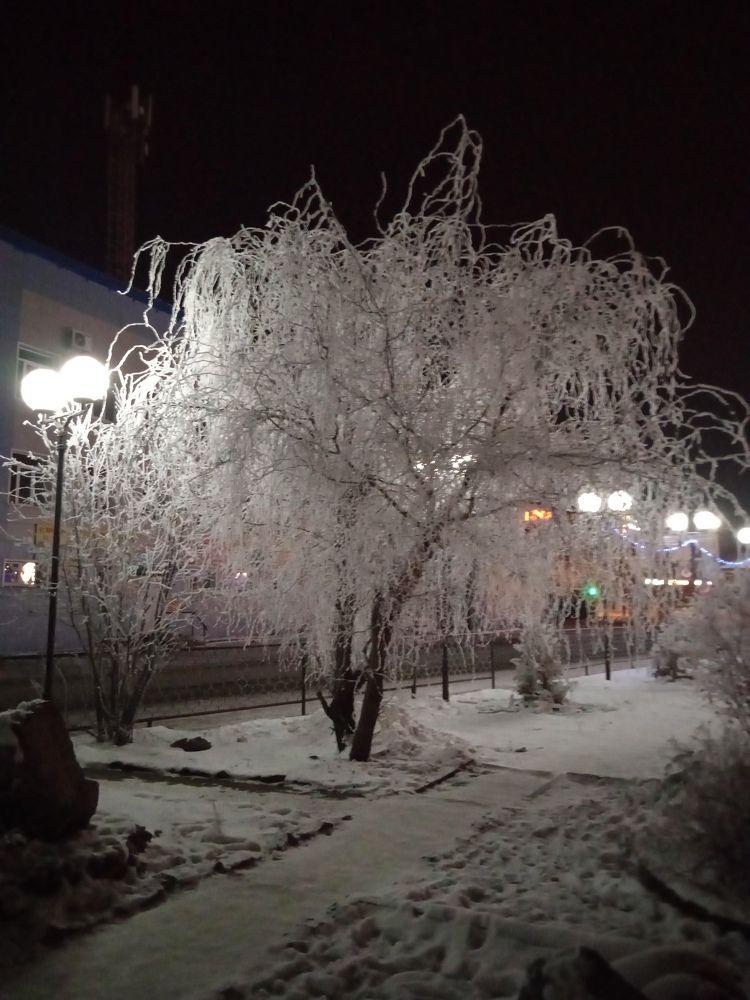 Photograph by Лесных Андрей