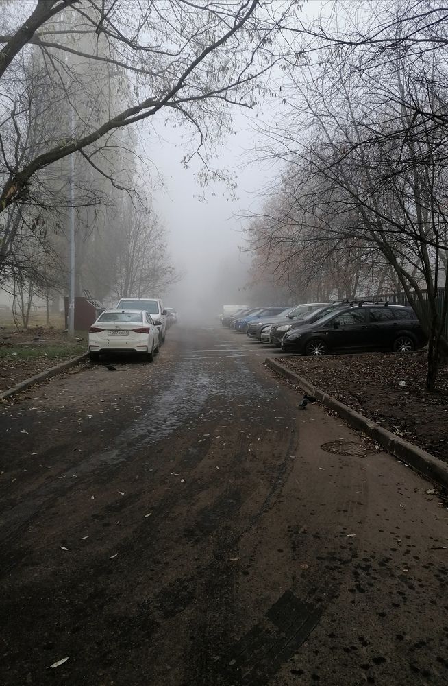 Улица в тумане