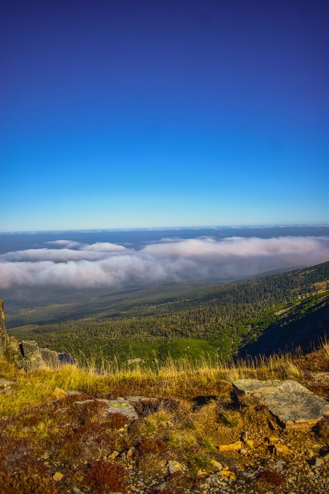 Фотография автора Andrea