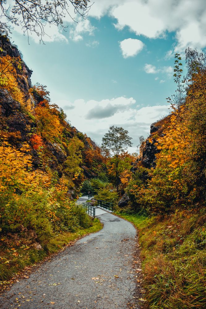 Colours of the wonderful time