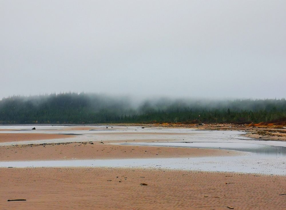 Photograph by Елена Артёменко