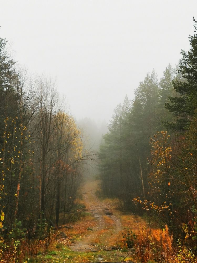 Photograph by Елена Артёменко