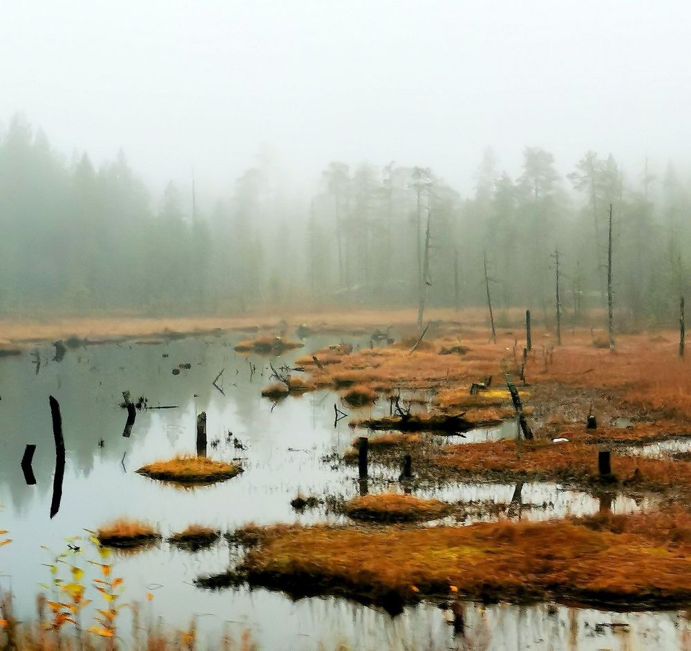 Photograph by Елена Артёменко