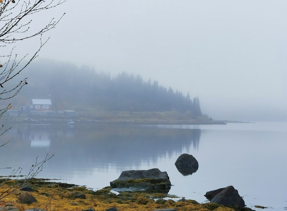 Photograph by Елена Артёменко