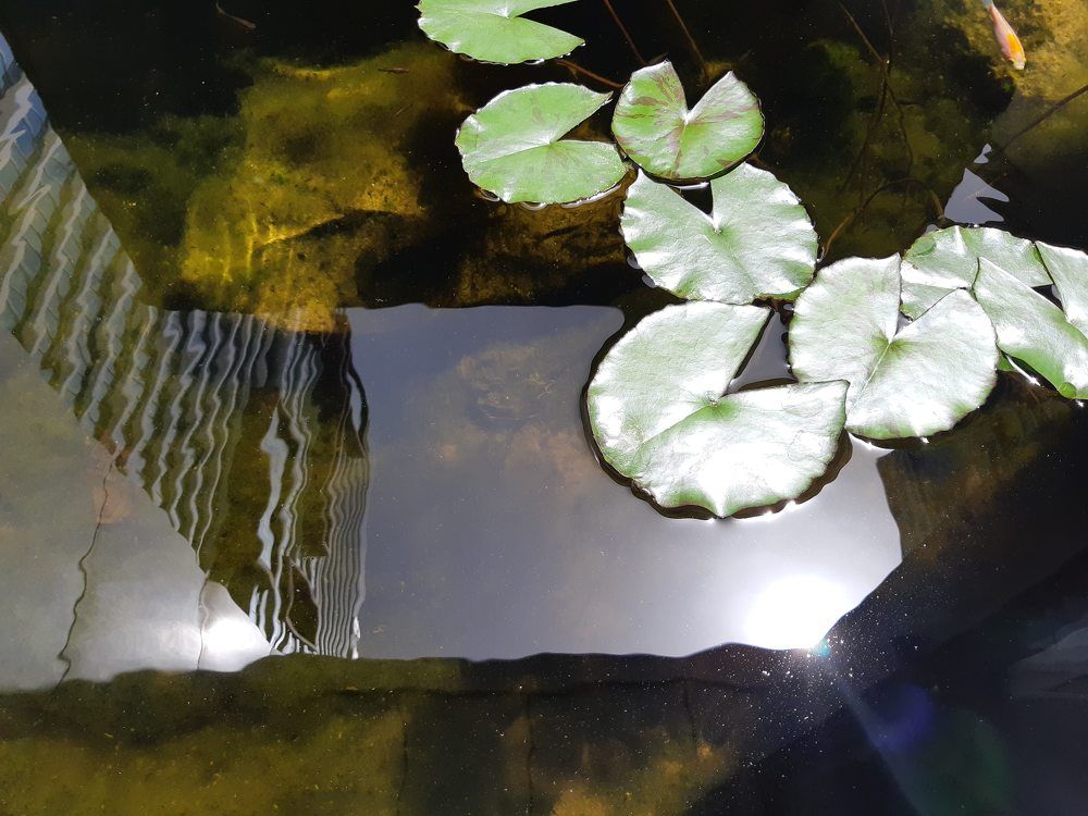 Photograph by Jacob Greenberg