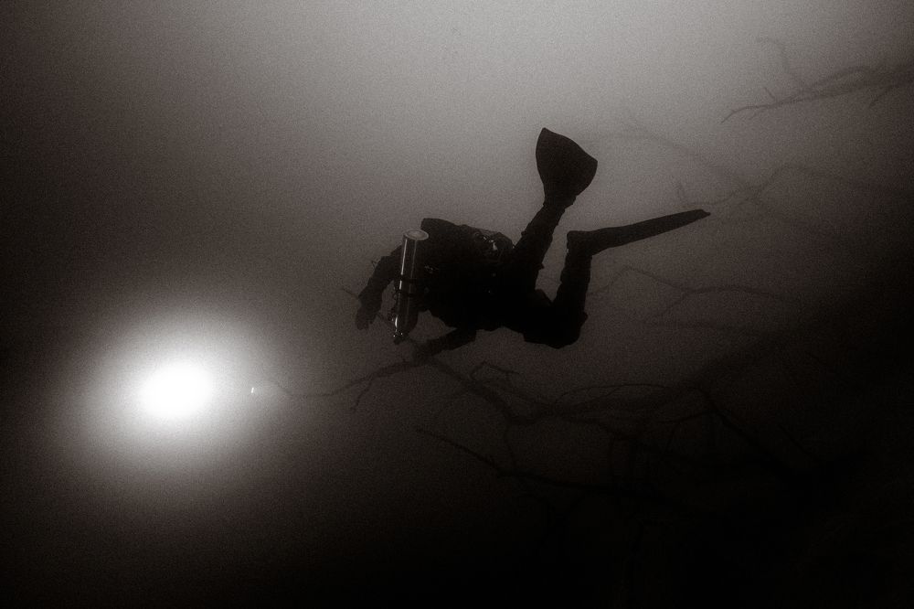 Photograph by Дмитрий Плотников