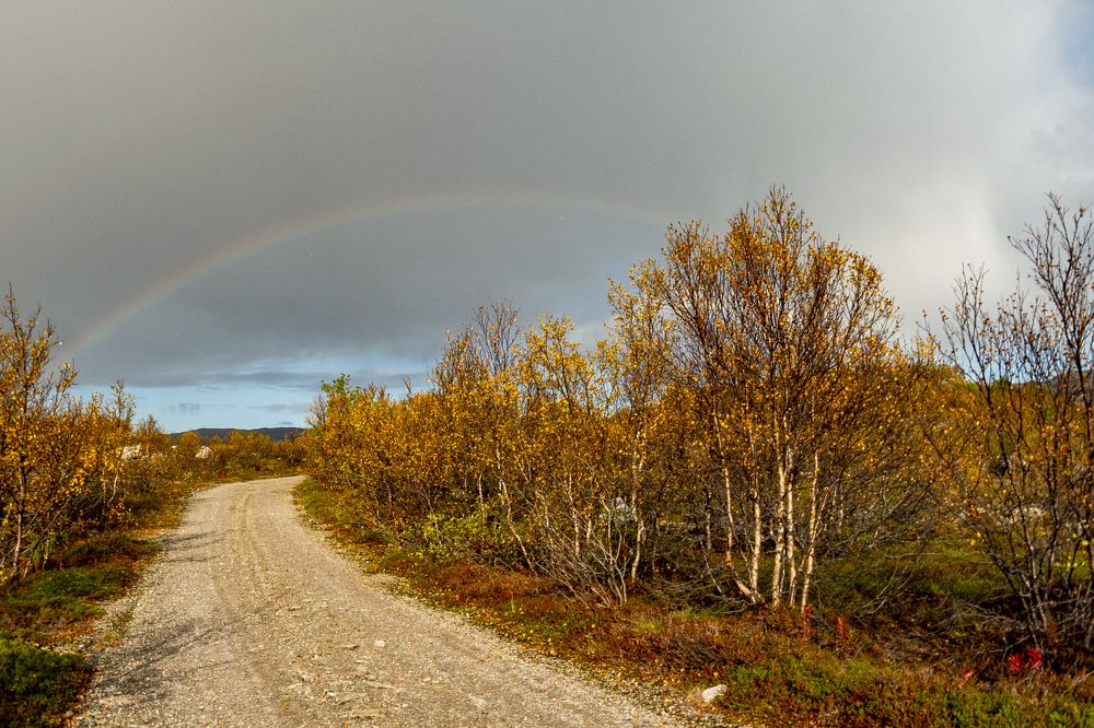 Photograph by Олег Яромий