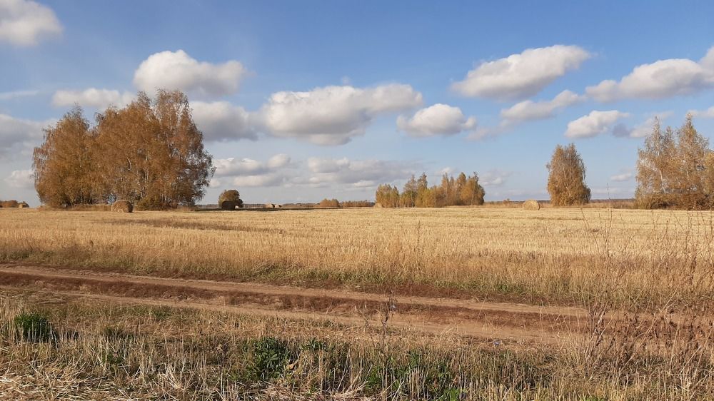 Photograph by Марина Слепова