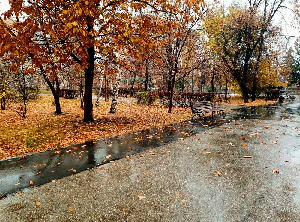 Photograph by Федоренко Элеонора