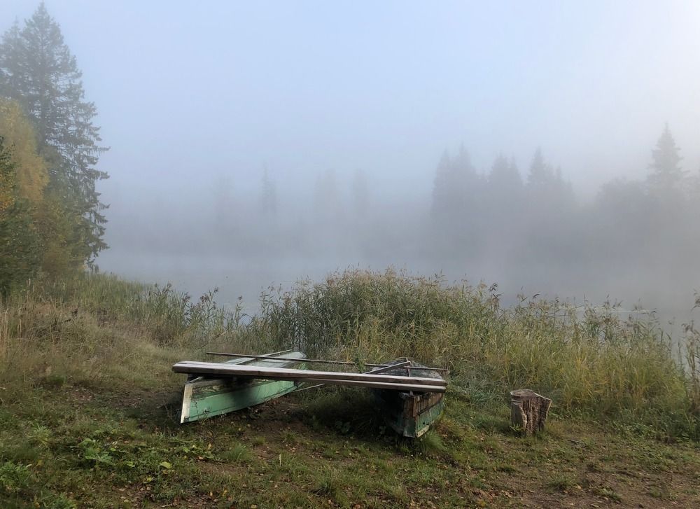 Photograph by Галина