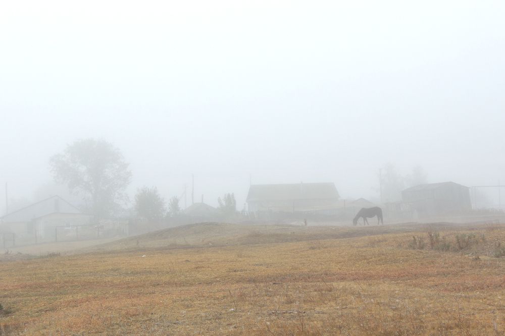 Photograph by Vitaliy Saposhnikov