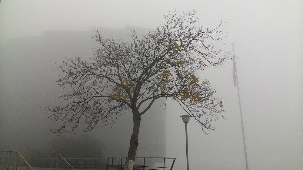 Photograph by Анна Матецкая