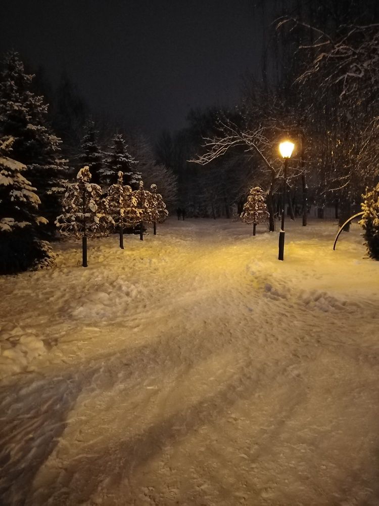 Photograph by Елена