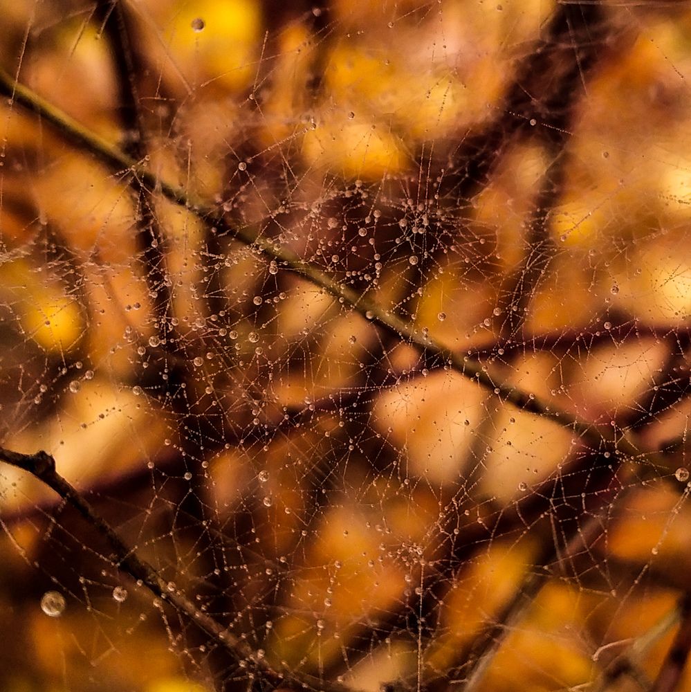 Photograph by Alena Kudryavtseva