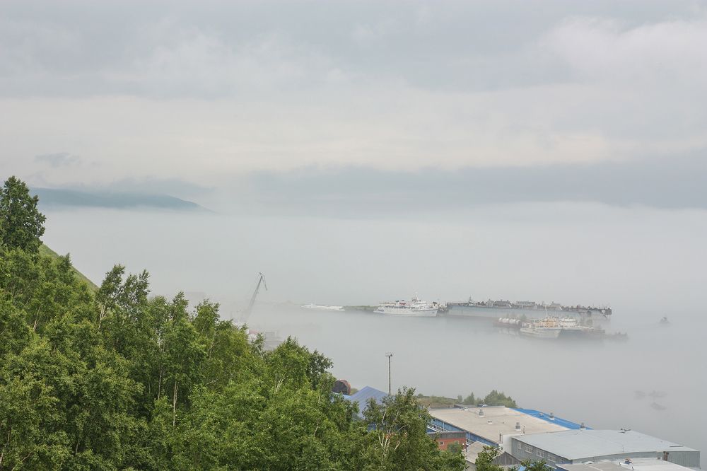 Photograph by Ольга Литвинцева