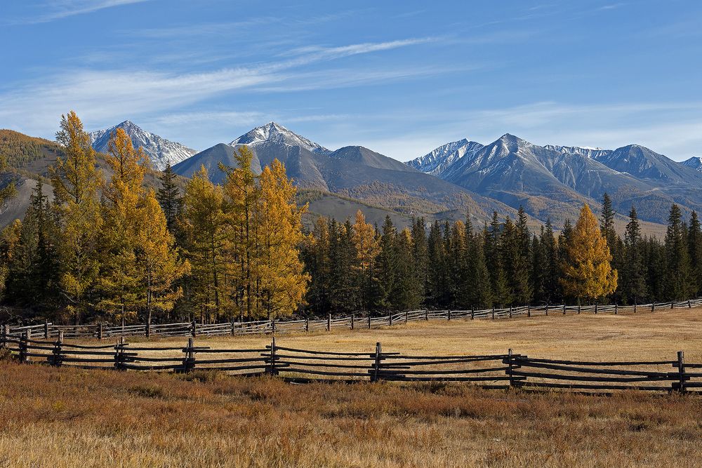 Тишина вокруг...