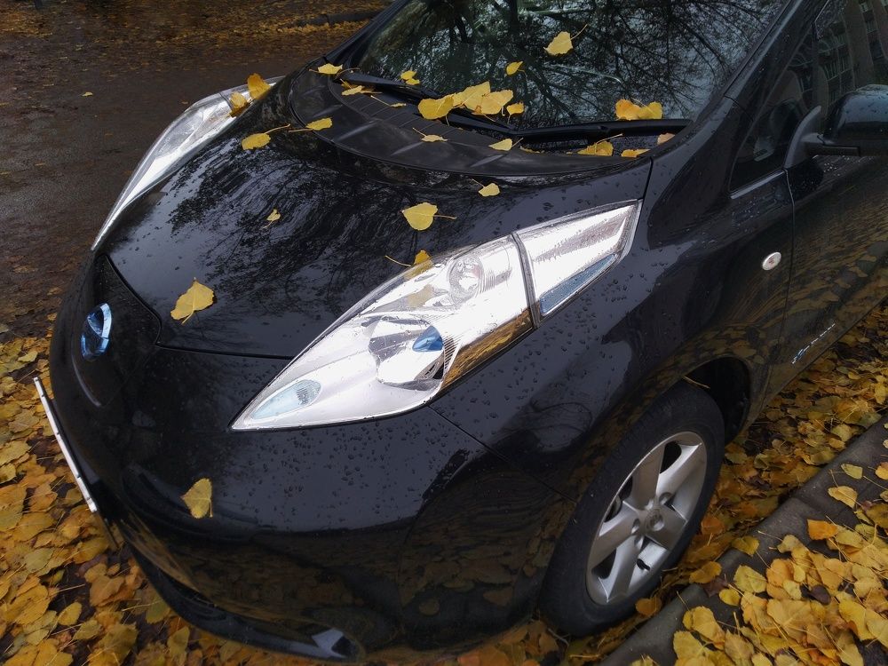 Photograph by Анна Матецкая