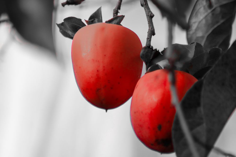 Photograph by Игорь Чечин