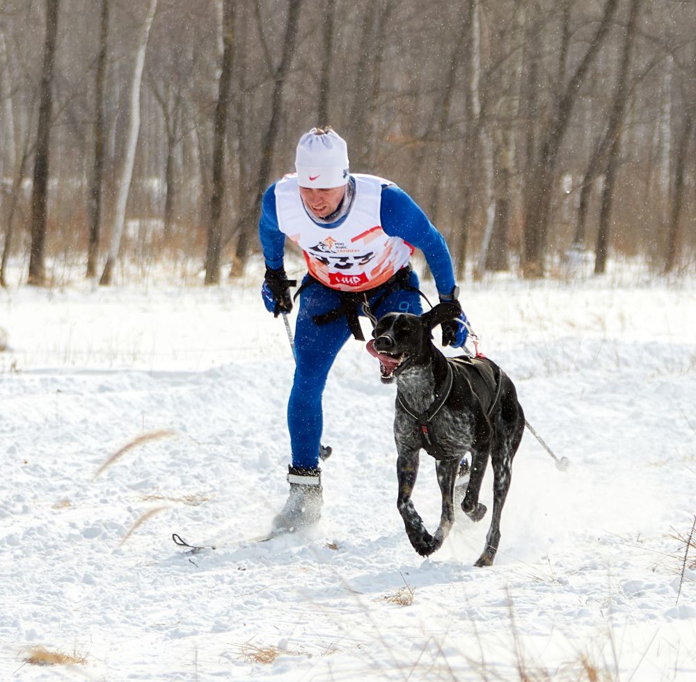 Photograph by Татьяна Кравель