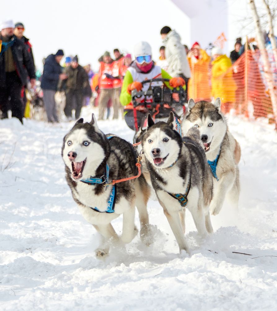 Photograph by Татьяна Кравель